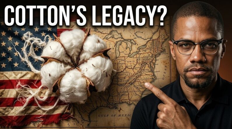 If You Don't Understand Cotton, You Don't Understand America 1